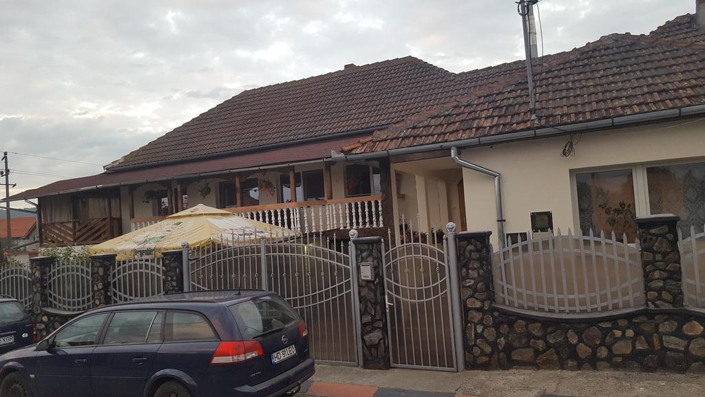 Casa Leo Apartment Hateg Luaran gambar