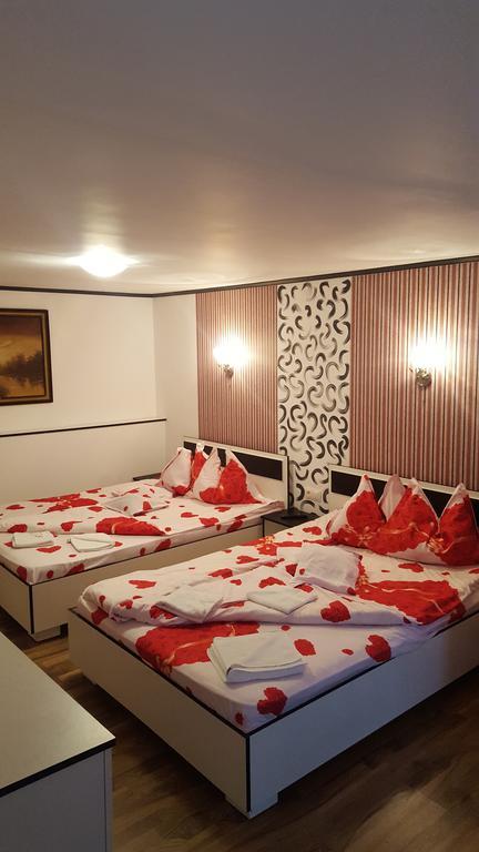 Casa Leo Apartment Hateg Luaran gambar