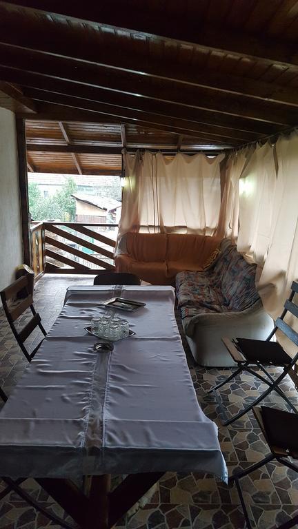 Casa Leo Apartment Hateg Luaran gambar