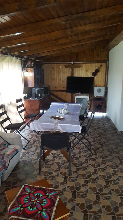 Casa Leo Apartment Hateg Luaran gambar