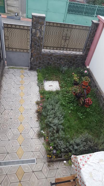 Casa Leo Apartment Hateg Luaran gambar