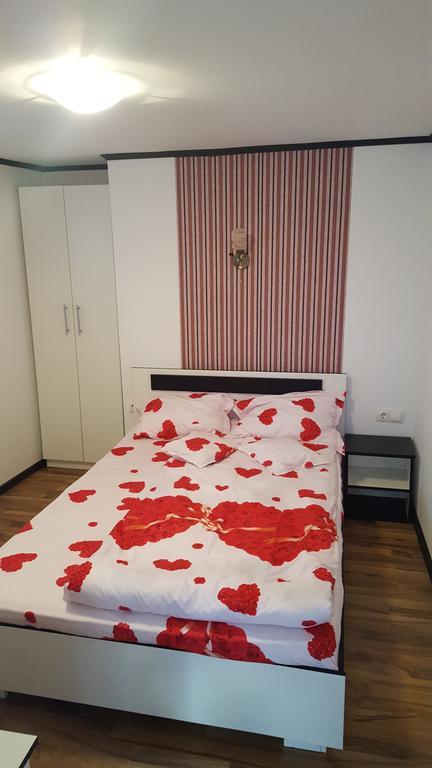Casa Leo Apartment Hateg Luaran gambar